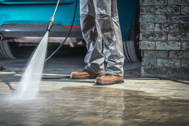 Best House Exterior Washing  in Shady Hollow, TX
