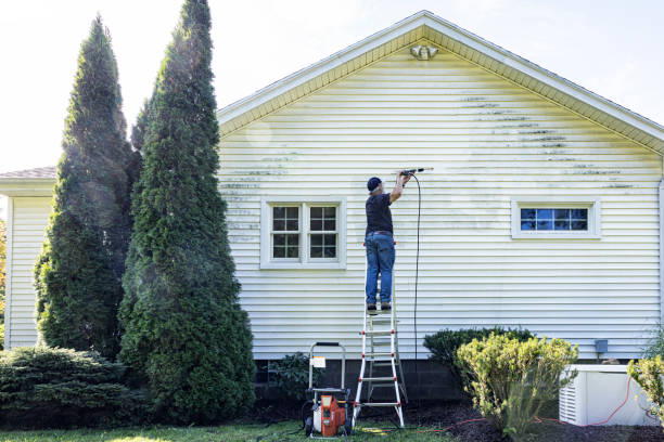 Reliable Shady Hollow, TX Pressure Washing Solutions