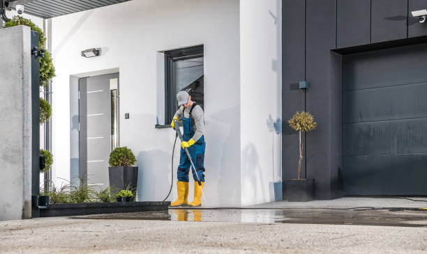 Best Building Exterior Washing  in Shady Hollow, TX